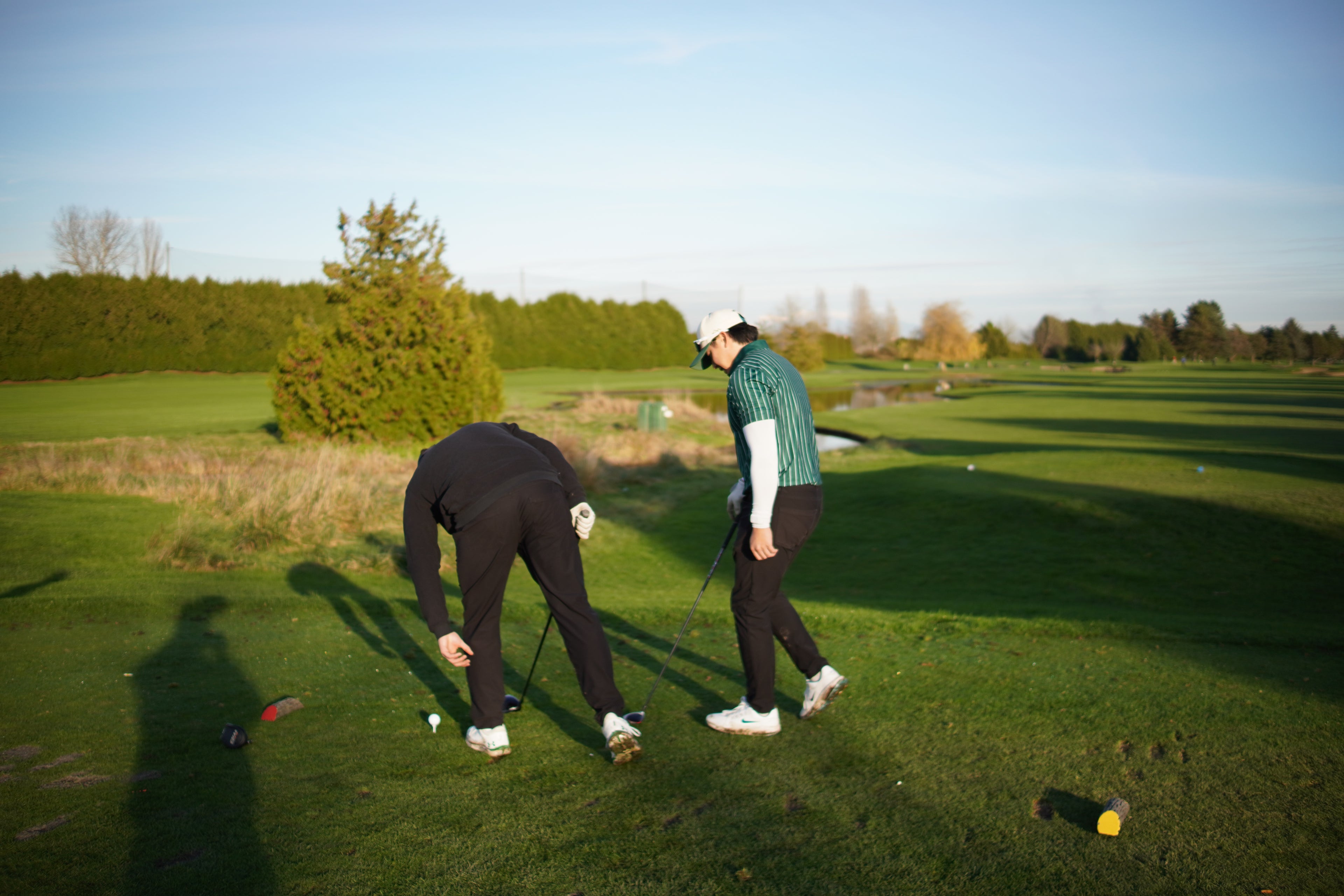 Green Pinstripe Polo